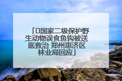 ﻿国家二级保护野生动物误食鱼钩被送医救治 郑州惠济区林业局回应