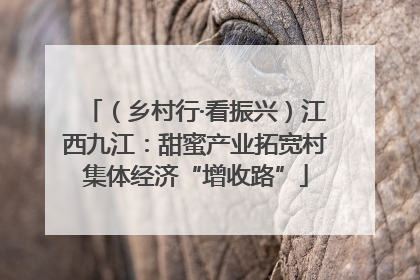 （乡村行·看振兴）江西九江：甜蜜产业拓宽村集体经济“增收路”