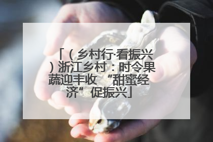 （乡村行·看振兴）浙江乡村：时令果蔬迎丰收 “甜蜜经济”促振兴