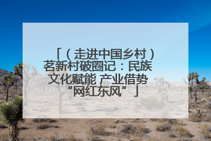 （走进中国乡村）茗新村破圈记：民族文化赋能 产业借势 “网红东风”