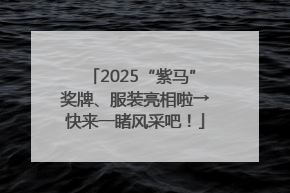 2025“紫马”奖牌、服装亮相啦→快来一睹风采吧！