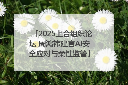 2025上合组织论坛 周鸿祎建言AI安全应对与柔性监管