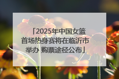 2025年中国女篮首场热身赛将在临沂市举办 购票途径公布