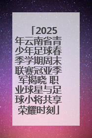 2025年云南省青少年足球春季学期周末联赛冠亚季军揭晓 职业球星与足球小将共享荣耀时刻