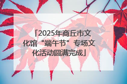2025年商丘市文化馆“端午节”专场文化活动圆满完成