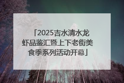 2025吉水清水龙虾品鉴汇暨上下老街美食季系列活动开幕