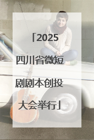 2025四川省微短剧剧本创投大会举行