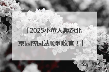 2025小黄人趣跑北京园博园站顺利收官！