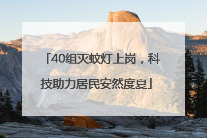 40组灭蚊灯上岗，科技助力居民安然度夏
