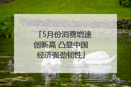 5月份消费增速创新高 凸显中国经济强劲韧性