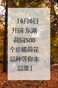 6月6日开园 东湖荷园500个珍稀荷花品种等你来品鉴