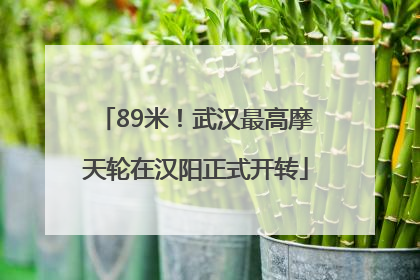 89米！武汉最高摩天轮在汉阳正式开转