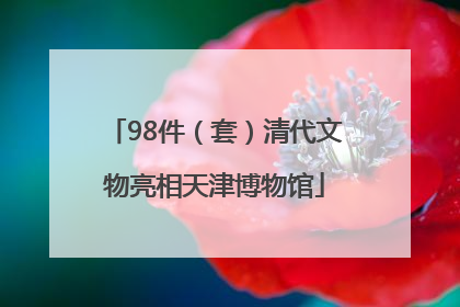 98件（套）清代文物亮相天津博物馆