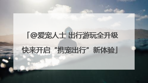 @爱宠人士 出行游玩全升级 快来开启“携宠出行”新体验