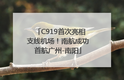 C919首次亮相支线机场！南航成功首航广州-南阳