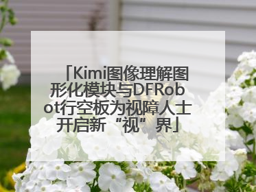 Kimi图像理解图形化模块与DFRobot行空板为视障人士开启新“视”界